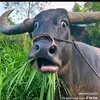 binh_yen123_4
