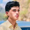 pokton98
