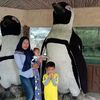 kh.anis95
