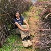 elysia.phyo43
