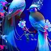 user7361126826617
