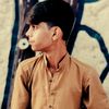 haider_alii23
