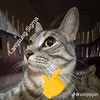 robby_af5758