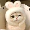 ♡˚ツ