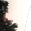 fidhsisu8