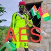 aes.djokalani