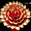 md.ayub.ali490