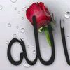momina2823