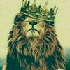 shawkat.khan897