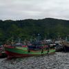 muhammadcandra431