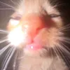 0f767