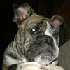 carlos.sorroche5