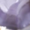 cil13_6