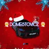 domestovicz_kursk