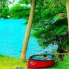 salma.qureshi71