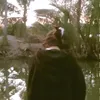 phckhangl71