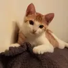 reyzix77