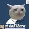 st_ka51bara