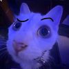 ilikecatsthendogs1
