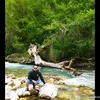 pxazedze201618