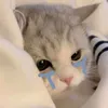 anhtuyet_0012