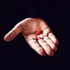 Red Pill Clips