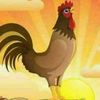 user68059162024824