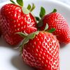 true_berry03