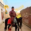 ali.gujjar.gujjar78