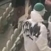 lechia.pany65