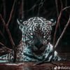 el_emix_x