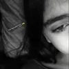 shelan8_234