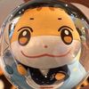 hongjoongs_t0es