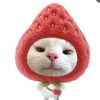 nanay_7134