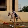 maedeh.alizadeh02