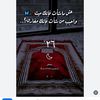 zainabelsayed867