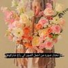 user45339035130245