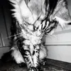 vampyxc_