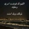 user8628405803582