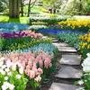 starting_to_garden