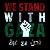 hamdy0173