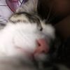 kia_maaria