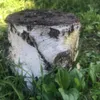zillpm