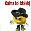 sam.mp447