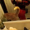 bobbie.salazar4