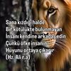 zeyno217221