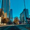 bryce_yyc