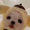 nanamisecretlover_27