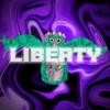 wgb.liberty_vr