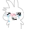 cb.meobel_senpai